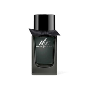 Burberry Mr Burberry EDP 100ml
