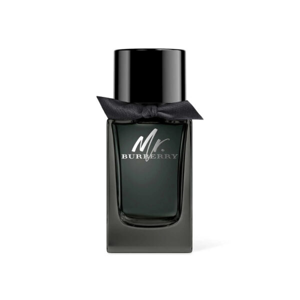 Burberry Mr Burberry EDP 100ml
