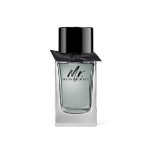 Burberry Mr Burberry EDT For Men 100ml