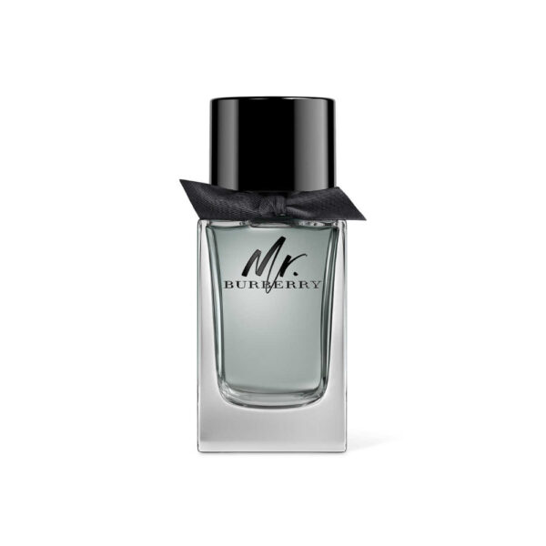 Burberry Mr Burberry EDT For Men 100ml