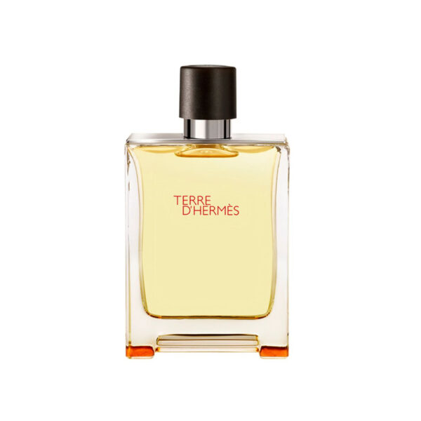 Hermes Terre De EDT For Men 100ml