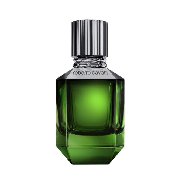 Roberto Cavalli Paradiso Found EDT Men 75ml