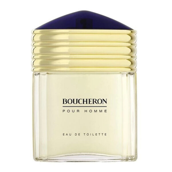 Boucheron Pour Homme For Men Eau De Toilette 100ml