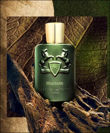 Perfumes For Men