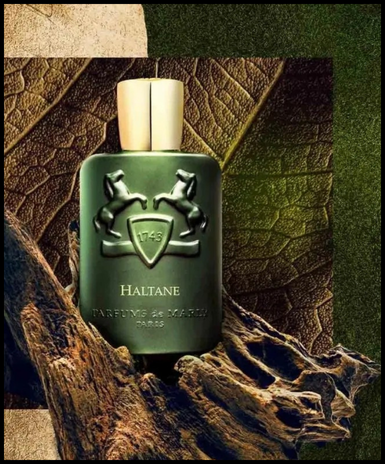 Perfumes For Men